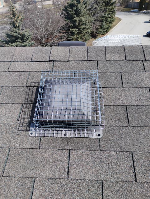 Box Vent Mesh Guard Close-Up