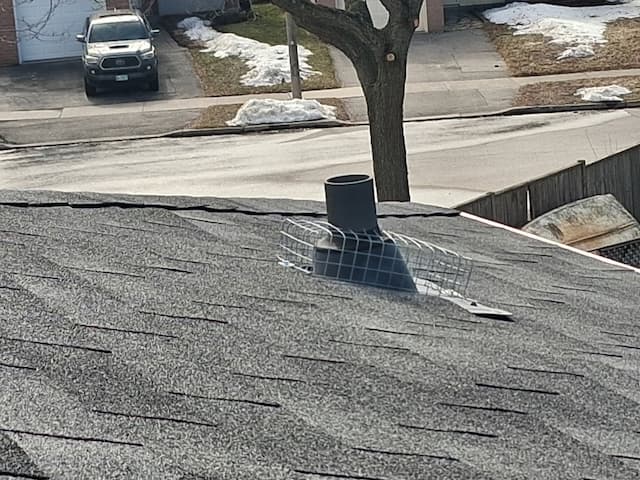 Roof Plumbing Vent Mesh Guard