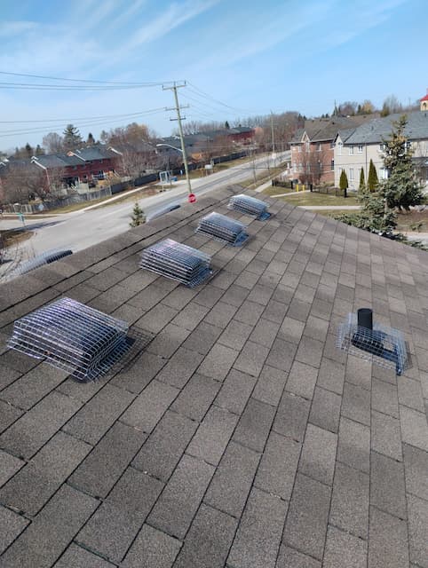 Vent and Plumbing Stack Guards