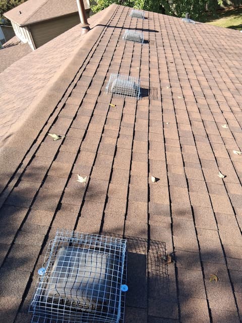 Multiple Roof Vent Guards