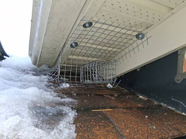 Soffit Gap Mesh Repair